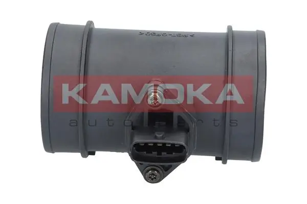 18025 Kamoka