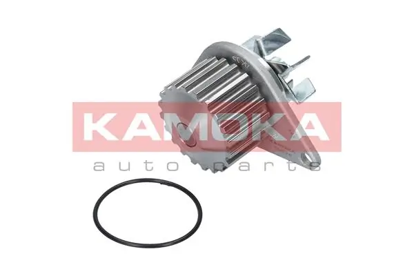 T0078 Kamoka