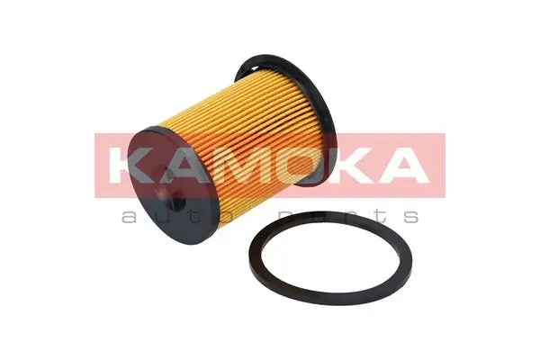 F307101 Kamoka