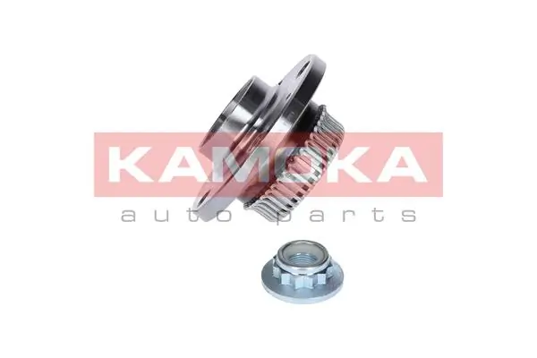 5500033 Kamoka Buje de rueda trasero
