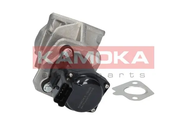19028 Kamoka