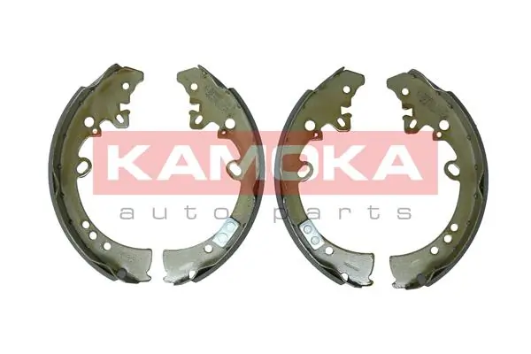 JQ202080 Kamoka