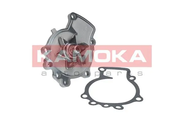 T0211 Kamoka