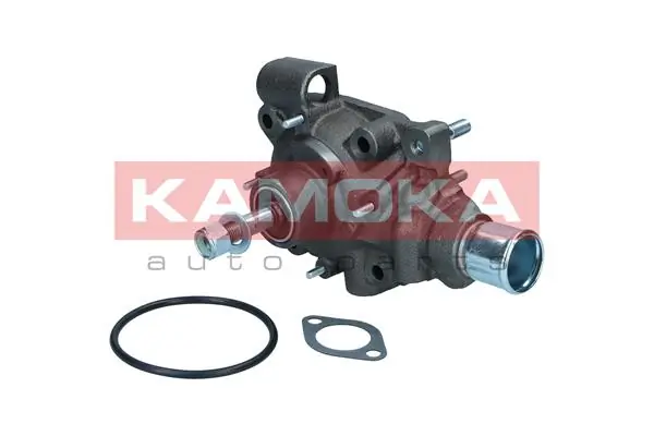 Bombeadora de agua Renault (RVI) 500361203 precio, desde 113,00 EUR