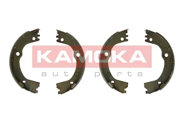 JQ212077 Kamoka