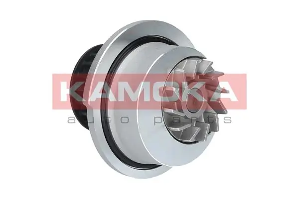T0108 Kamoka