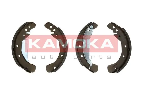JQ202032 Kamoka