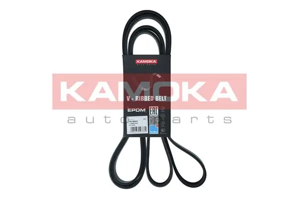 7016241 Kamoka