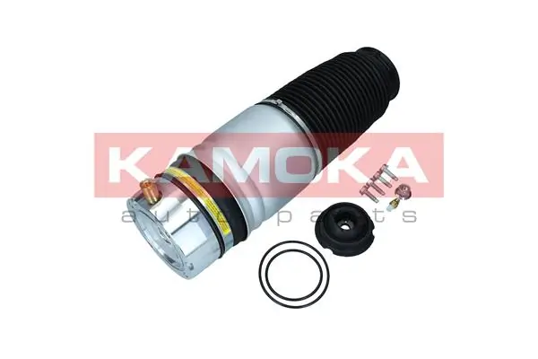 2079009 Kamoka