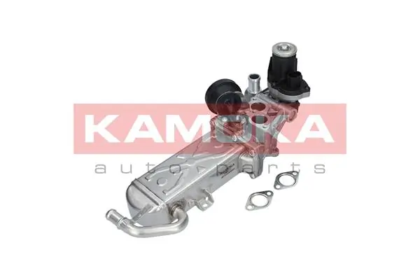19071 Kamoka