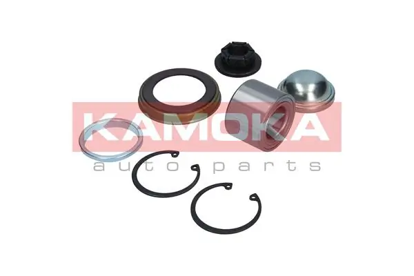 Cojinete de rueda trasero Ford Focus 1 DAW, DBW