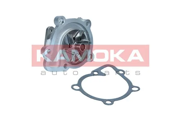 T0311 Kamoka