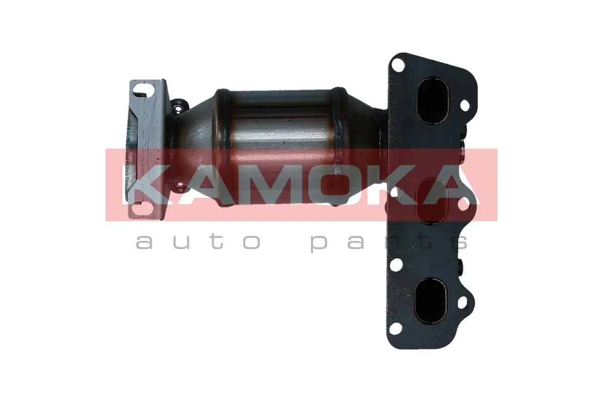 8015064 Kamoka Catalizador de gasolina y diésel