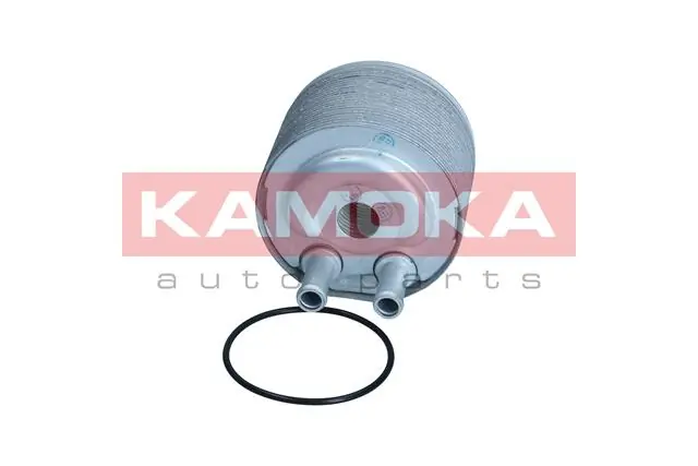 7730123 Kamoka