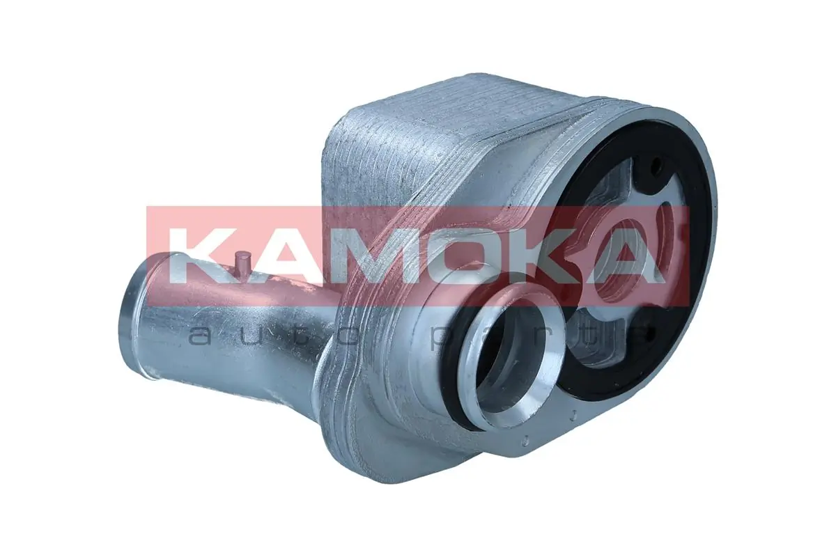 7730096 Kamoka