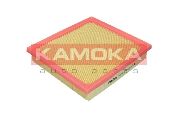 F258401 Kamoka