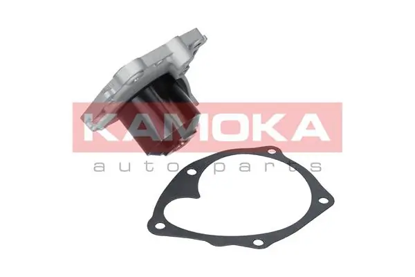 T0220 Kamoka