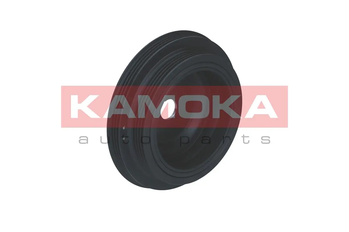 Polea del cigüeñal Renault Twingo I hatchback (C06) (1992 - 2007) precio, desde 53,72 EUR