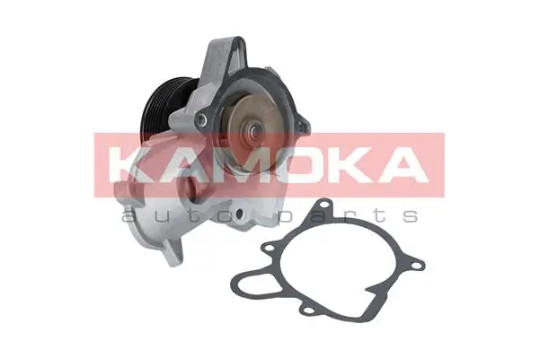 T0053 Kamoka
