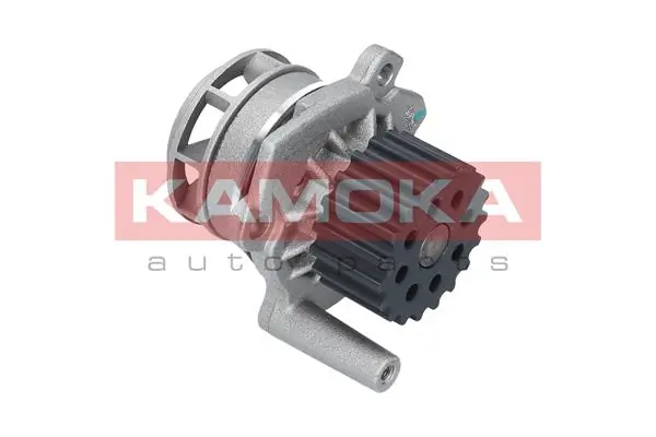 T0020 Kamoka