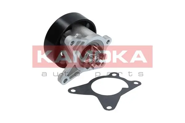 T0223 Kamoka