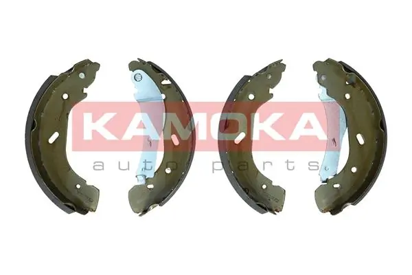 JQ202075 Kamoka