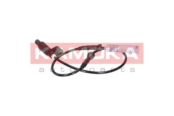 1060062 Kamoka