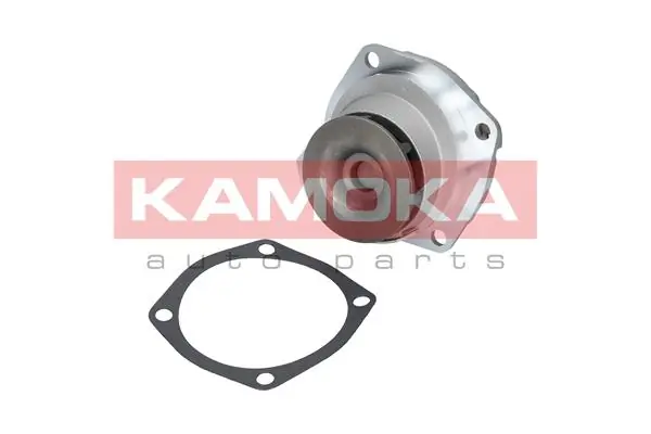 T0010 Kamoka