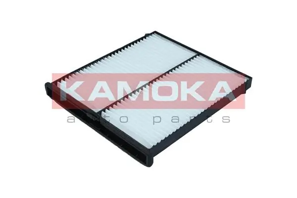 F418601 Kamoka