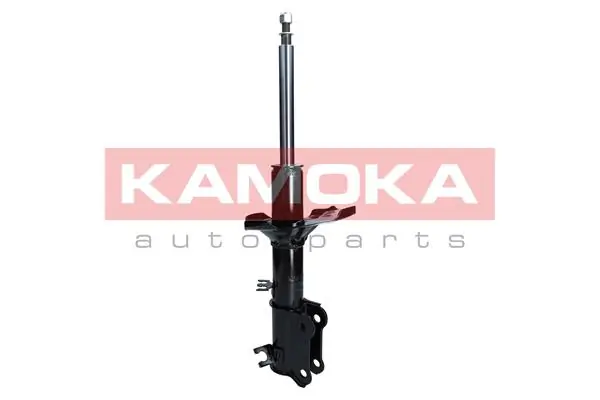2000458 Kamoka