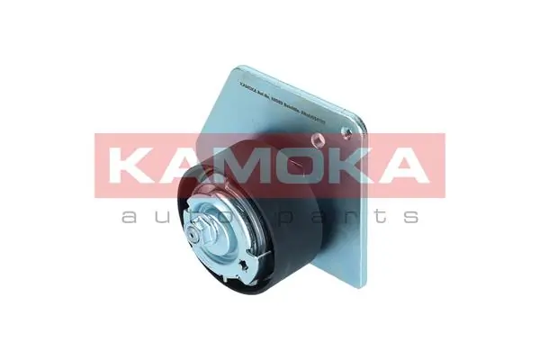 R0503 Kamoka