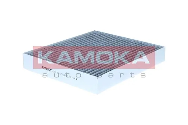 F523701 Kamoka Filtro antipolen