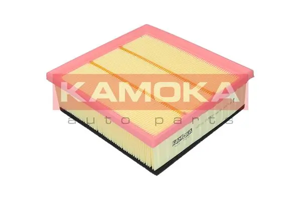 F225101 Kamoka