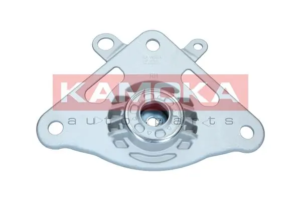 209306 Kamoka