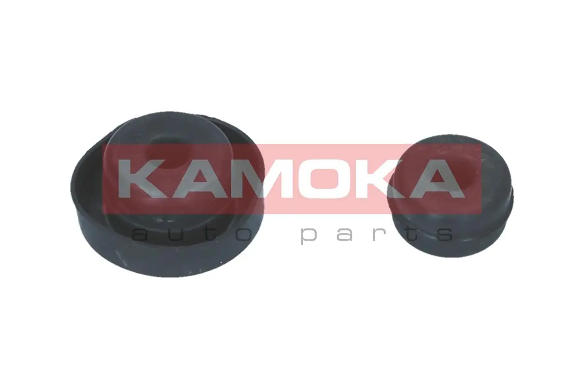 209289 Kamoka