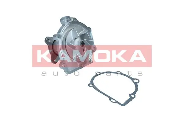 T0320 Kamoka