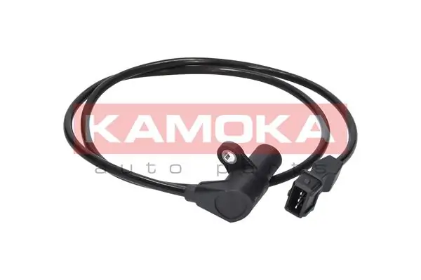 109013 Kamoka