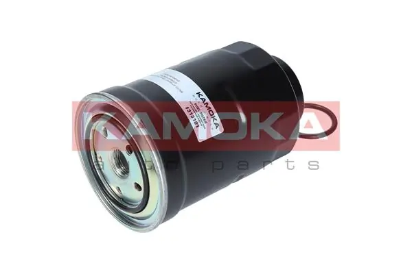 F313101 Kamoka