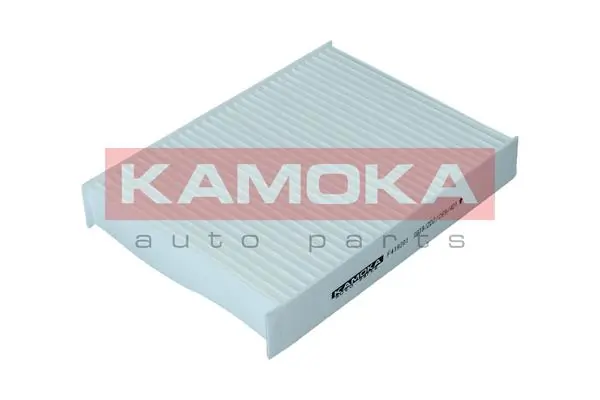 F419201 Kamoka