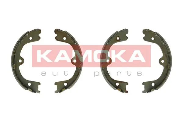 JQ212070 Kamoka