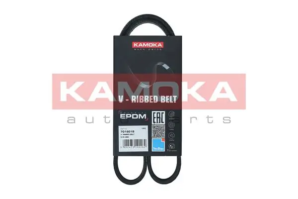 7015018 Kamoka