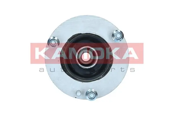209253 Kamoka