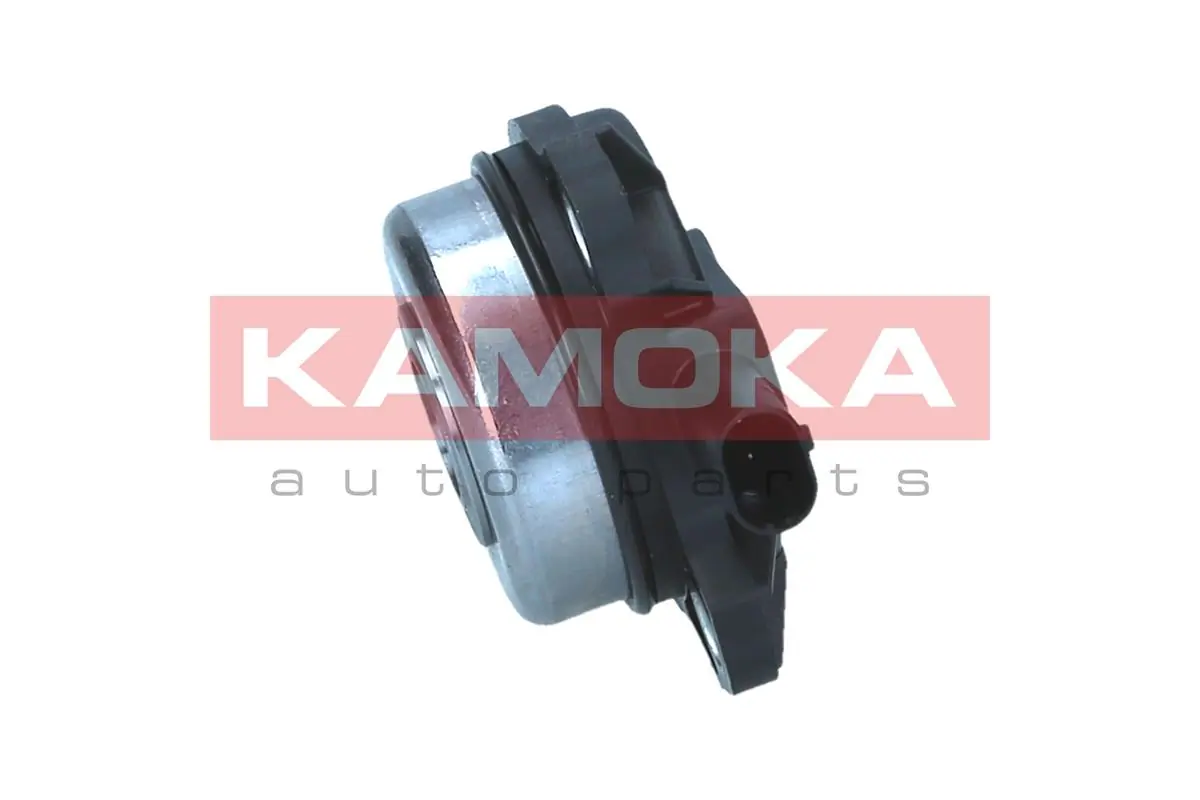 RA071 Kamoka