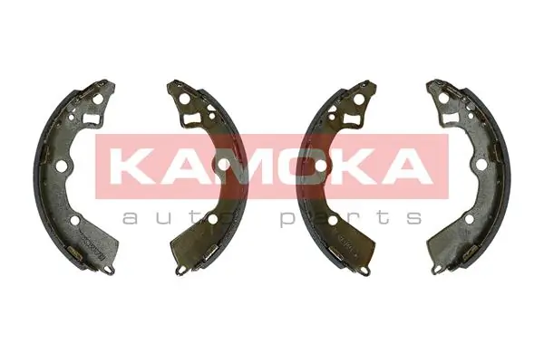 JQ202093 Kamoka