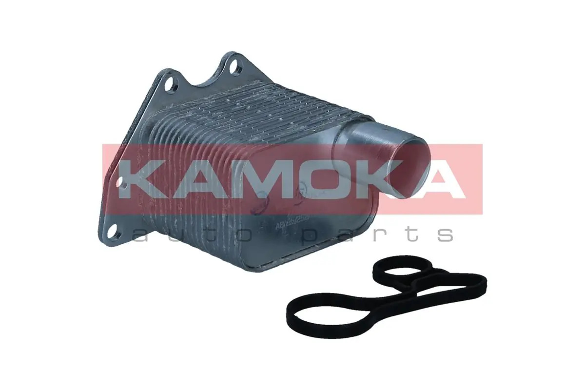 7730109 Kamoka