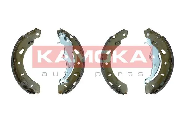 JQ202094 Kamoka