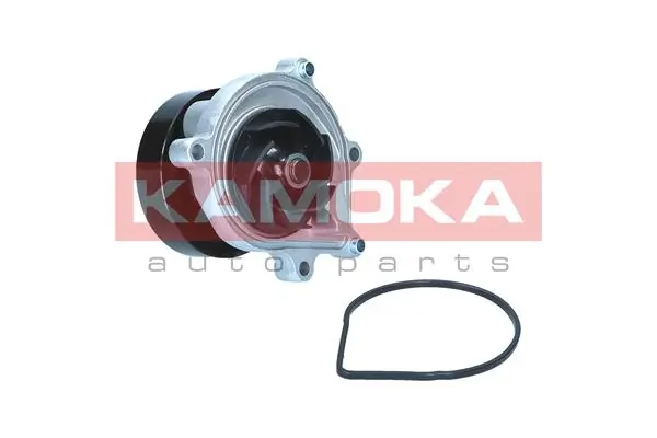 T0299 Kamoka