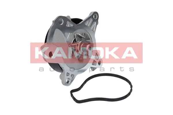 T0262 Kamoka