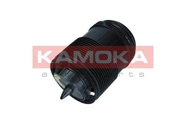 2079015 Kamoka