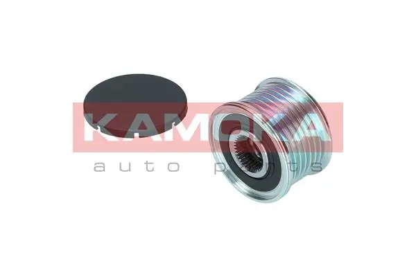 Comprar Polea alternador BMW X6  E71